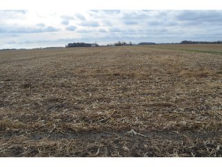 Property photo 32 - LAND AUCTION - 276.5+/- ACRES OFFERED IN 5 TRACTS IN EAST ALLEN COUNTY